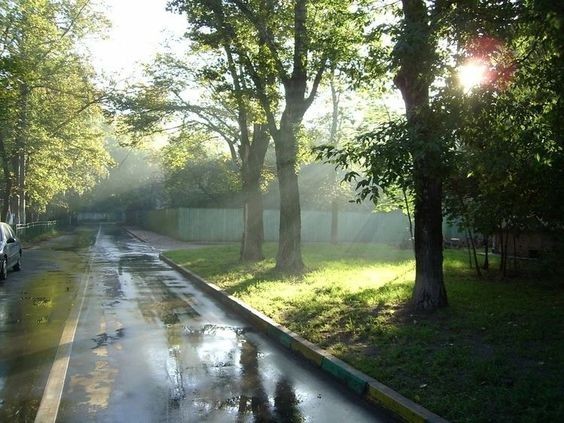 Create meme: nature , sunny morning in the city, rain 