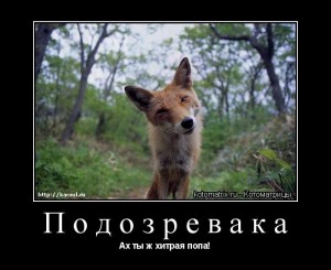 Create meme: funny pictures about the trick, foxes pictures, Fox