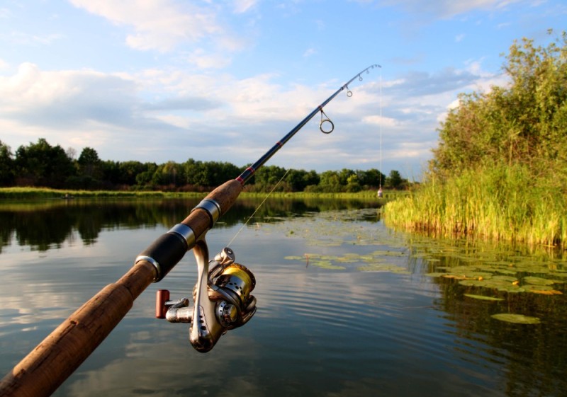 Create meme: carp fishing rod, pike fishing on spinning, fishing rods for fishing