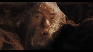 Create meme: run you fools Gandalf, Gandalf fools, the Lord of the rings Gandalf