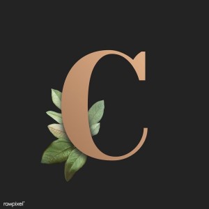 Create meme: a beautiful letter d, Logo, letters