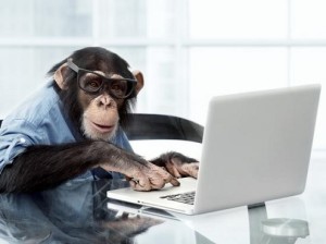 Create meme: the monkey behind the computer, the monkey behind the computer, monkey behind a computer