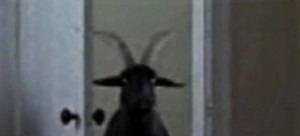 Create meme: black goat