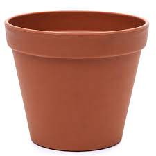 Create meme: clay pot, ornamental flowerpot, flower pot