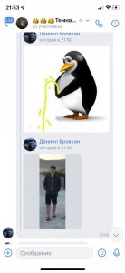 Create meme: penguin, penguin bird