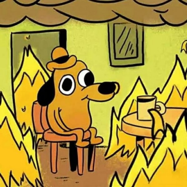 Create meme: a dog in a burning house, meme dog in a burning house, The dog is sitting in a burning house