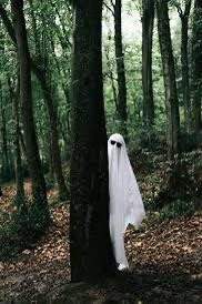 Create meme: pictures of ghosts, The white ghost in the forest, Ghost 