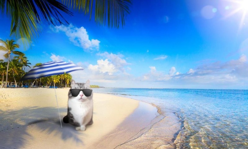 Create meme: summer sea beach, beautiful beach , beach summer