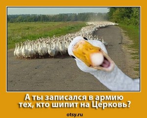 Create meme: meme goose, goose