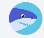Создать мем: дельфин флэт, мальчик, акула туруруру