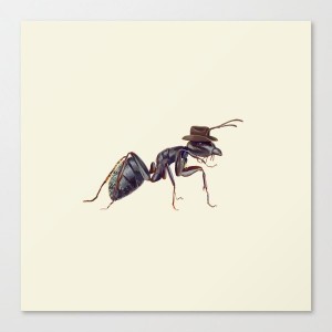 Create meme: insects, insect, ant