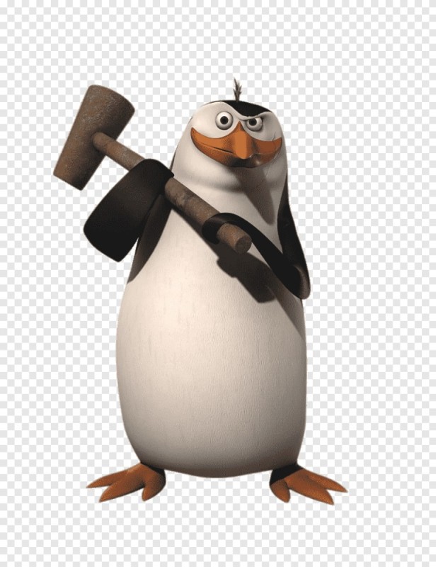 Create meme: the penguins of Madagascar Kowalski, the penguins of Madagascar Kowalski, Rico the penguins of Madagascar