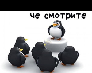 Создать мем: пингвины из мадагаскара, мемы с пингвином, penguin