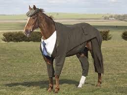 Создать мем: лошадь в костюме, лошадь в штанах, костюм коня