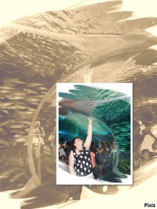 Создать мем: waghor aquarium, ripley's aquarium of canada
