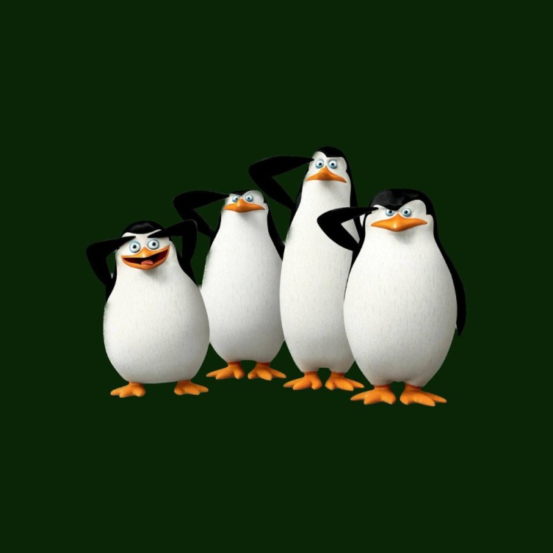 Создать мем: пингвины из мадагаскара шкипер, мадагаскар, пингвины мадагаскара шкипер