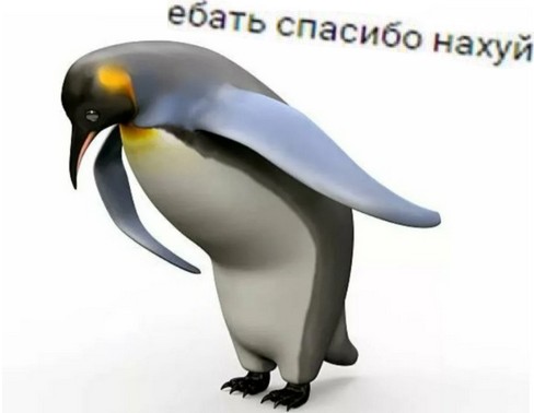 Create meme: penguin thank you, penguin bow, penguin meme