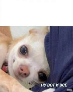 Create meme: Chihuahua puppies, dog, memes about dogs