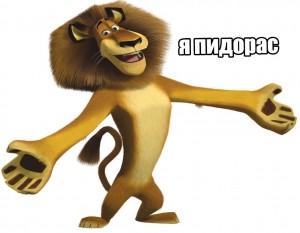 Create meme: madagascar, lion from Madagascar, Moto Madagascar