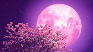 Create meme: the moon, beautiful moon