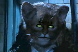 Create meme: the owner, harry potter and the chamber of secrets, cat transformation