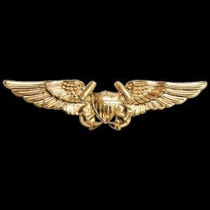 Create meme: Golden wings pilot, wings, the sign of the "navy pilot wings"