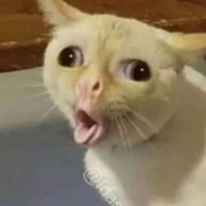 Create meme: coughing cat memes, Mammy cat, cat vomit meme