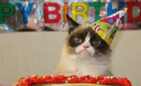Create meme: grumpy cat happy birthday, a disgruntled cat in a hat, unhappy cat birthday