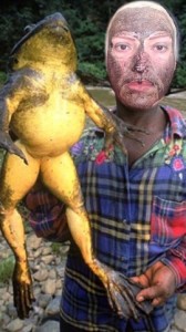 Create meme: the world's largest, the bull frog, toad