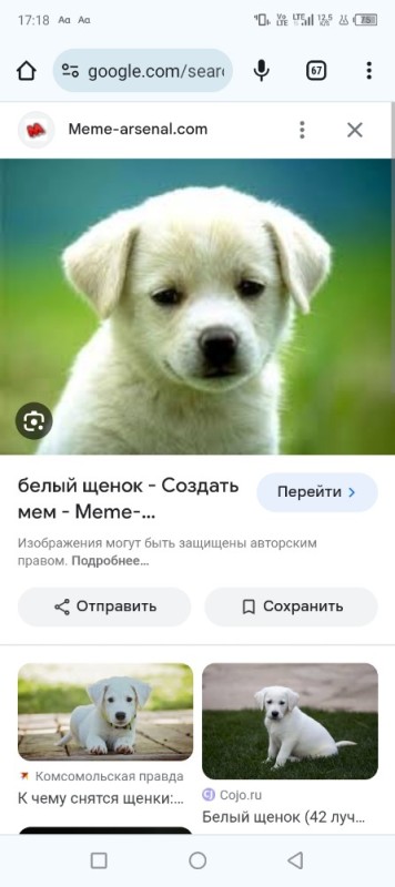 Создать мем: dog, щеночек, puppy