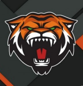 Create meme: Amur tiger hockey logo, arts for the clan, clan emblem