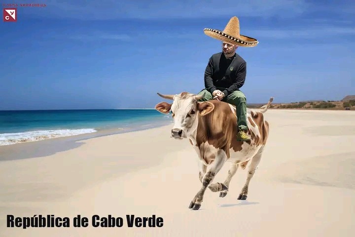 Create meme: a donkey in Mexico, cow , people 