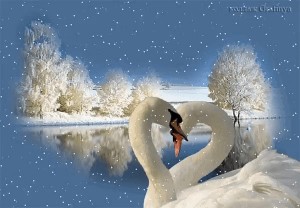 Создать мем: белые лебеди снег кружится, наступила зима, лебеди зима любовь