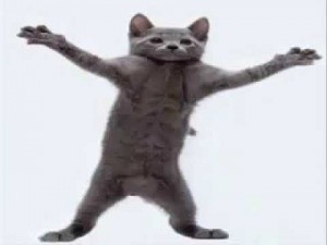 Создать мем: кот танцует живой, кот танцует головой, кот флексит