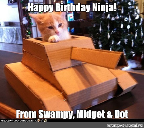 Meme Happy Birthday Ninja From Swampy Midget Dot All Templates Meme Arsenal Com