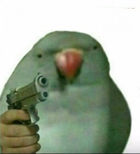 Создать мем: Животное, рисунок с попугаем у которого в руке пистолет с надписью, попугай