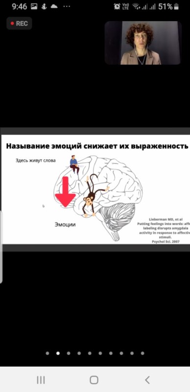 Создать мем: психология сознания, эмоции, мозг