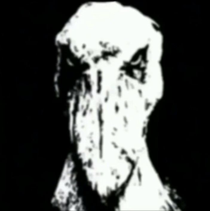 Create meme: pelican drive, darkness, skull on a black background