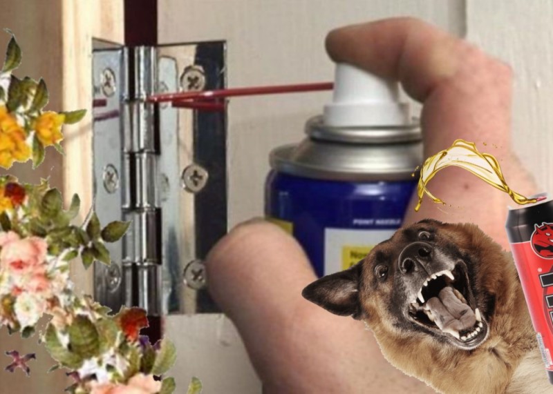 Create meme: wd 40 for door hinges, dog, dogs