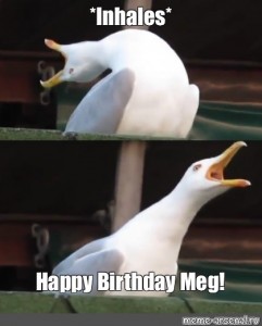 Create meme: seagulls meme, meme Seagull, gull laughing meme