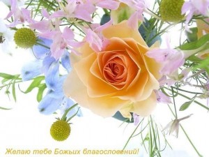 Create meme: flowers, the flowers are beautiful, Flowers