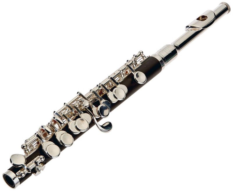 Create meme: piccolo flute, piccolo flute flute, flute