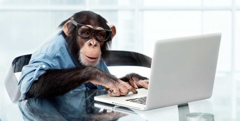 Создать мем: шимпанзе, обезьяна умная, обезьяна за компом