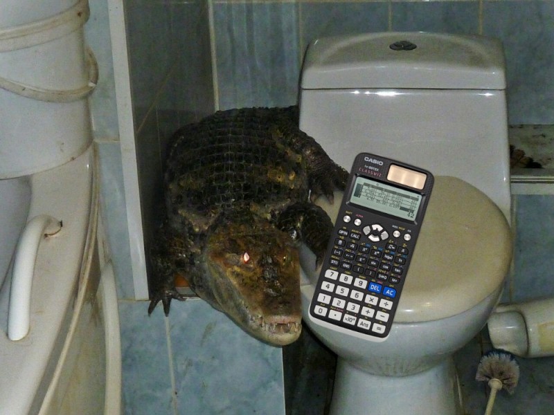 Create meme: toilet , aaaaa crocodile in the bathroom, the toilet toilet