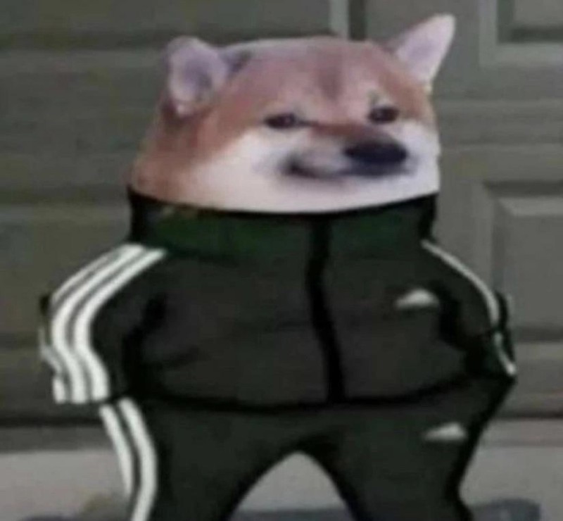 Create meme: Father Christmas, doggo meme, a dog in an adidas meme suit