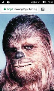 Create meme: Chewbacca photo, Chewbacca Dzhigurda, star wars chewbacca