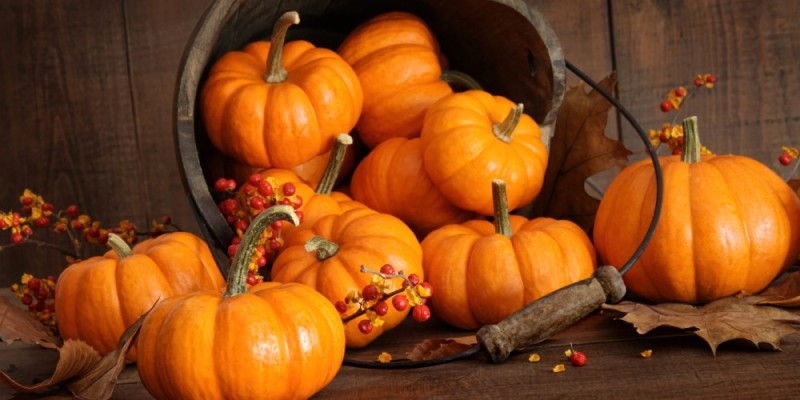Create meme: pumpkin , autumn pumpkins, still life pumpkin