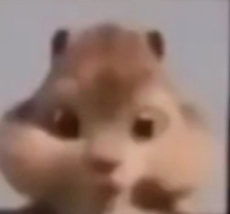 Create meme: cat , hamster , Alvin and the chipmunks