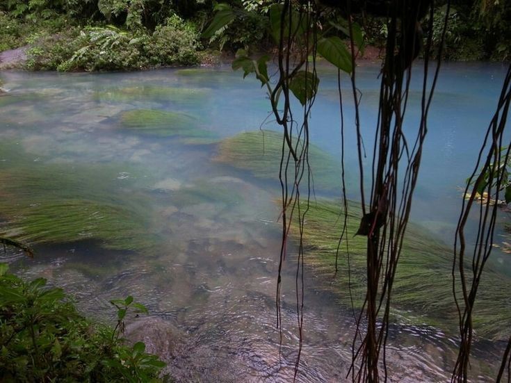 Create meme: the emerald lake of krabi, rio celeste, beautiful places of nature