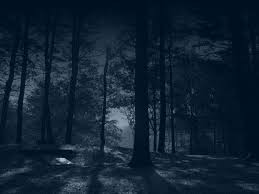Создать мем: лес туманный, фон ночной лес, темный фон лес